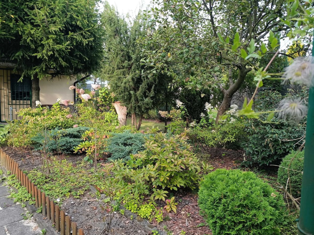 Działka rod Bytom Szombierki, ul. Zabrzańska. Zdjęcie 5