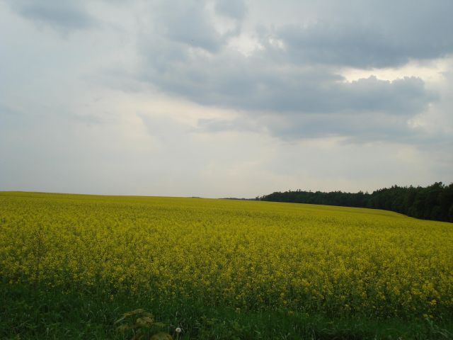 Działka rolno-budowlana Łazy. Zdjęcie 1