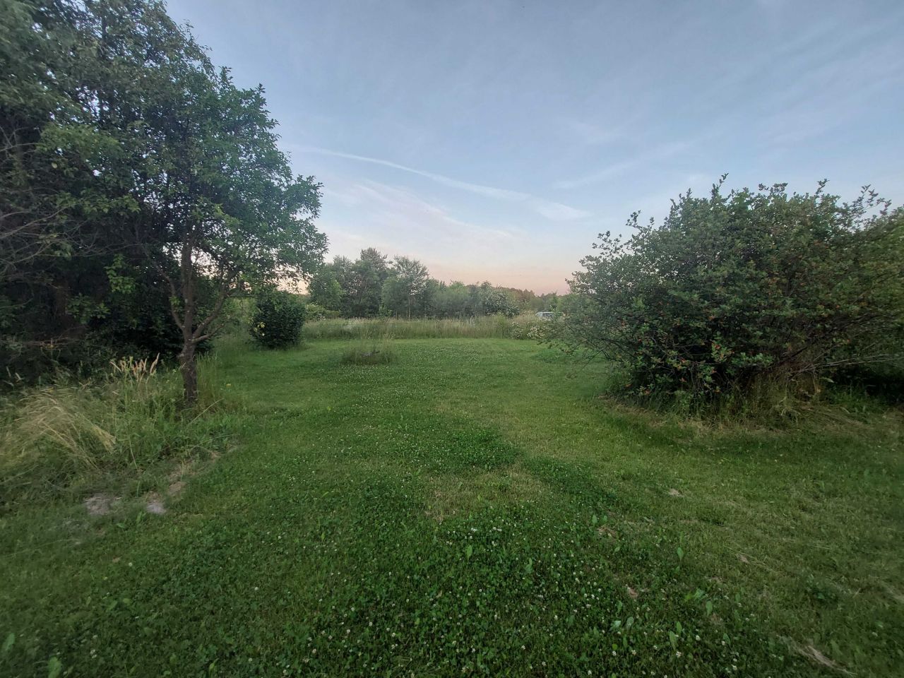 Działka rod Domaszowice. Zdjęcie 3