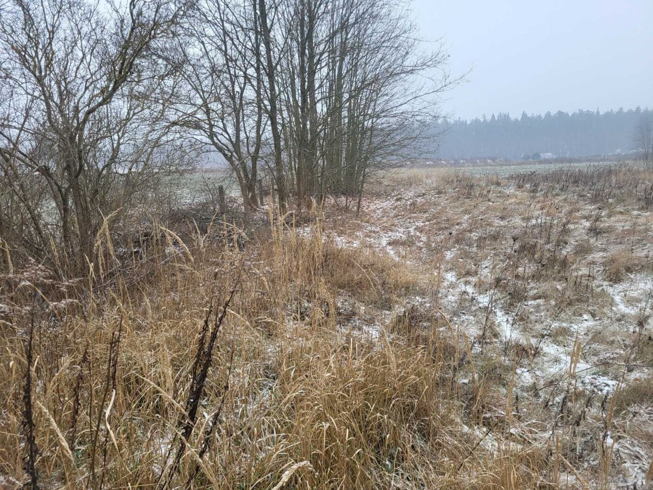 Działka budowlana Sieniawa Żarska. Zdjęcie 6