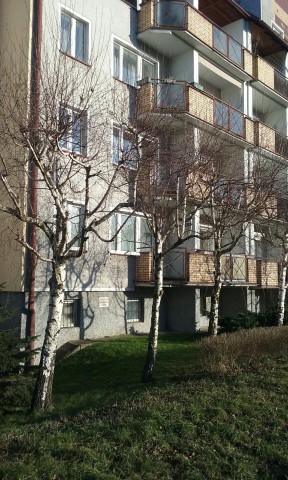 Mieszkanie 1-pokojowe Toruń Koniuchy, ul. Kozacka. Zdjęcie 1