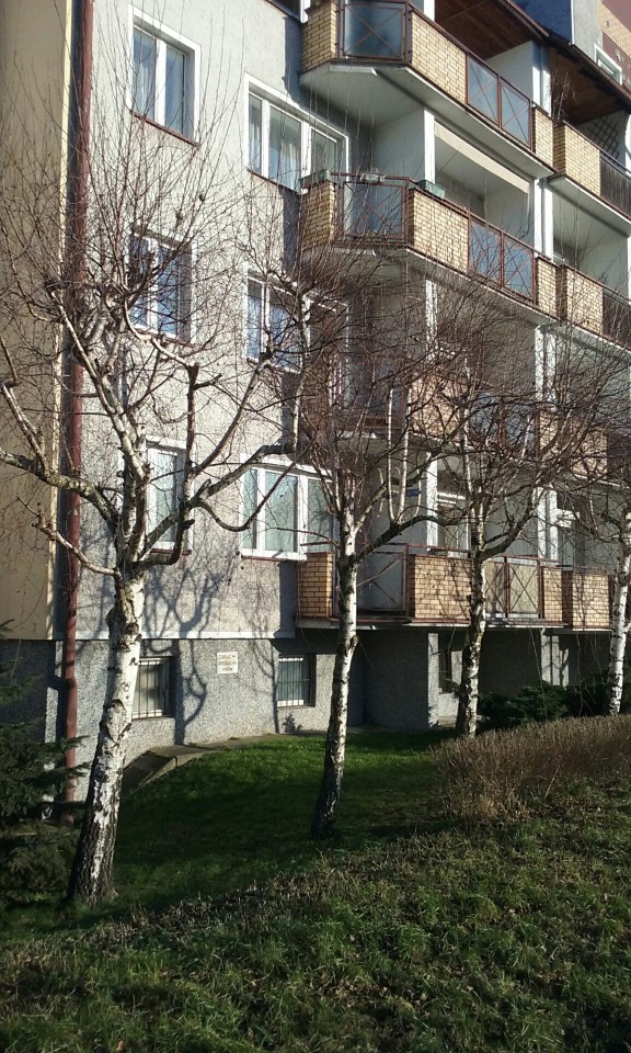 Mieszkanie 1-pokojowe Toruń Koniuchy, ul. Kozacka
