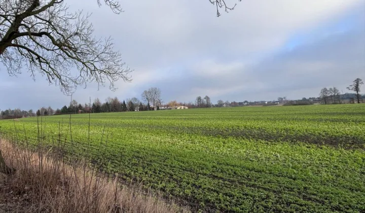 Działka inwestycyjna Iława, ul. Zalewska