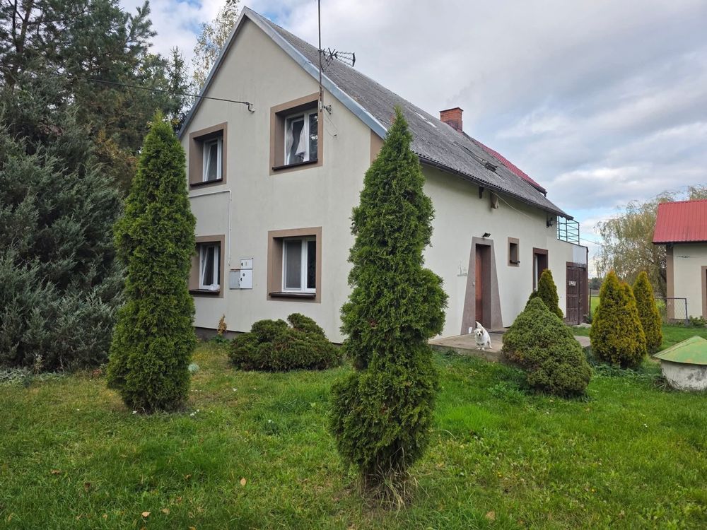 dom wolnostojący Wądołki-Bućki. Zdjęcie 7