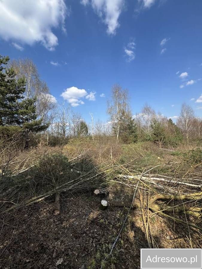Działka budowlana Sulęcin. Zdjęcie 9