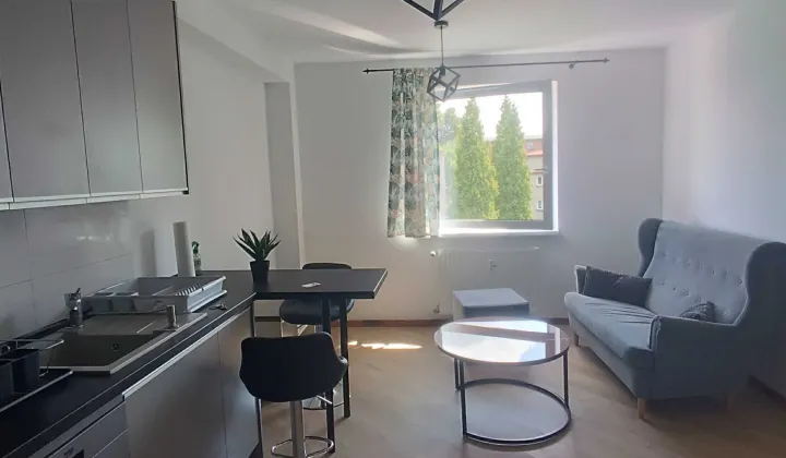 Mieszkanie 2-pokojowe Rybnik Śródmieście, ul. Parkowa