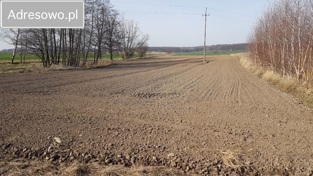 Działka rolna Morawa. Zdjęcie 3