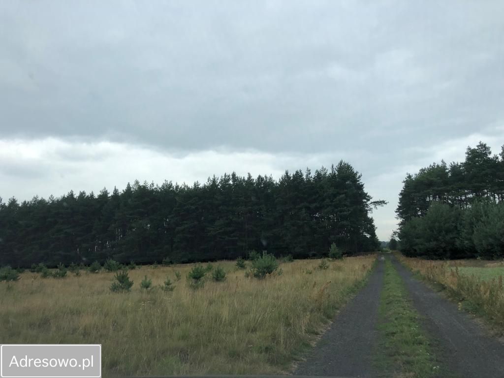 Działka budowlana Biała Panieńska. Zdjęcie 6