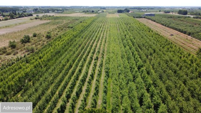 Działka inwestycyjna Nowa Długowola. Zdjęcie 1