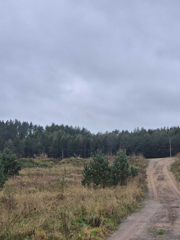 Działka budowlana Mściszewice. Zdjęcie 3