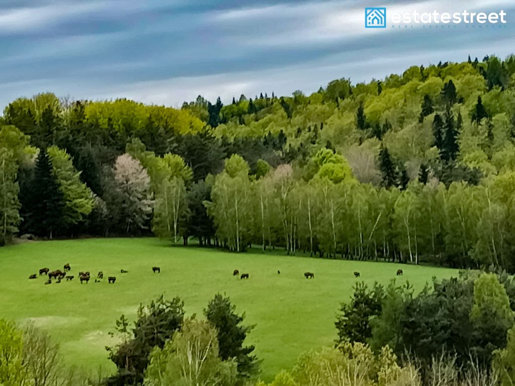 dom wolnostojący, 5 pokoi Bereżnica Wyżna. Zdjęcie 3