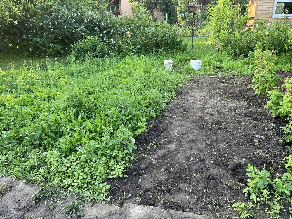 Działka rod Olecko. Zdjęcie 5