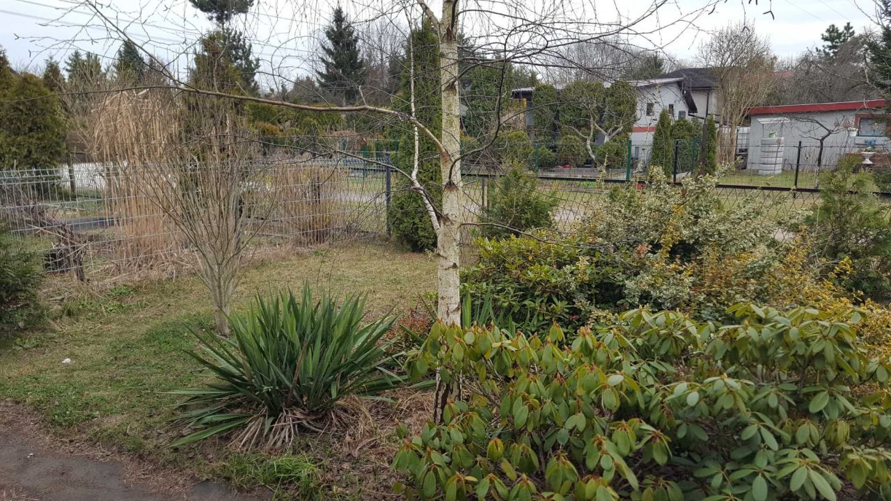 Działka rod Sosnowiec Niwka. Zdjęcie 7