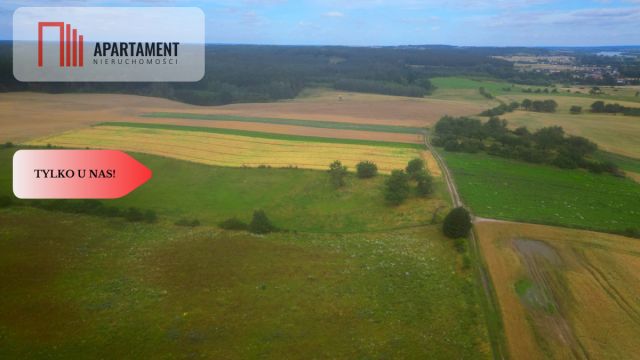 Działka siedliskowa Opalenie. Zdjęcie 5