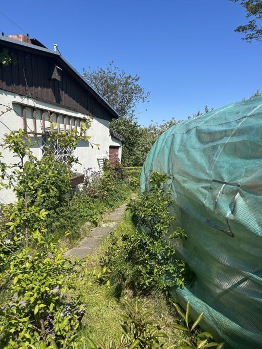 Działka rod Gdynia Mały Kack, ul. Grodnieńska. Zdjęcie 3