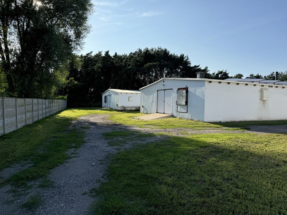 Hala/magazyn Reptowo. Zdjęcie 8