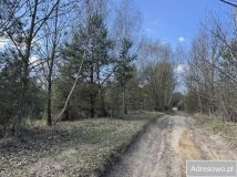 Działka budowlana Sulęcin. Zdjęcie 2