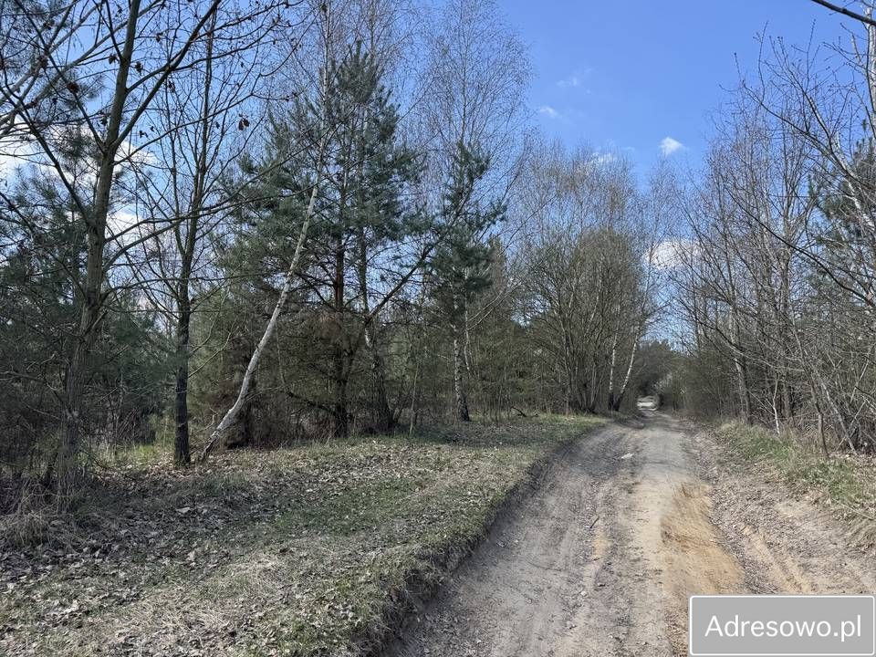 Działka budowlana Sulęcin. Zdjęcie 3