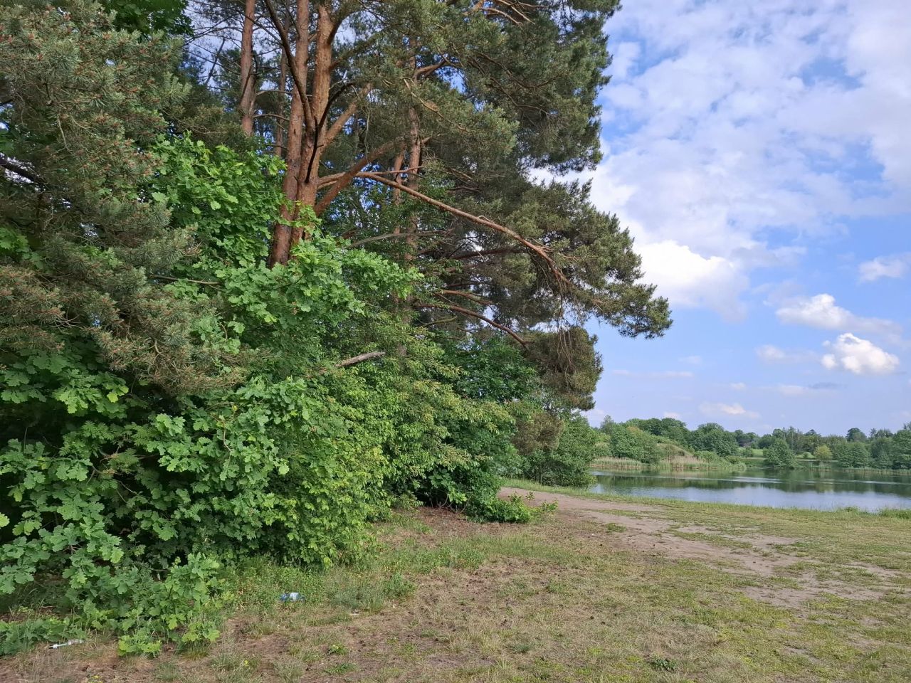 Działka budowlana Nowe Miasto, Tatarska. Zdjęcie 5