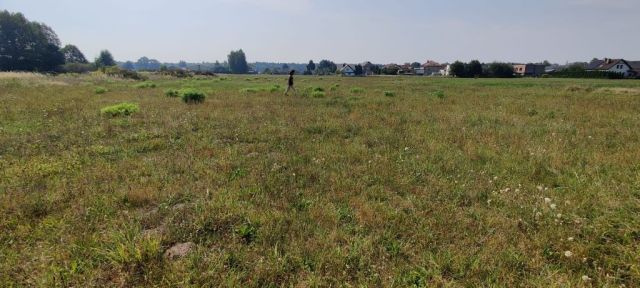 Działka budowlana Gostyń. Zdjęcie 1