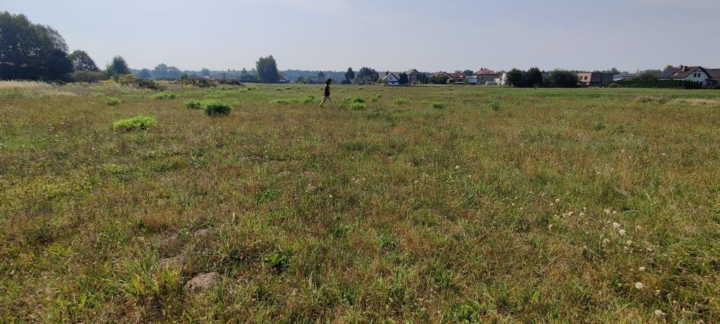 Działka budowlana Gostyń