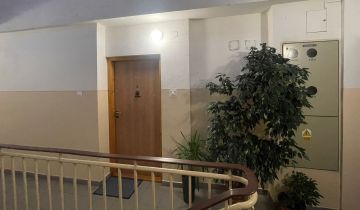 Mieszkanie 2-pokojowe Wieluń, ul. ks. Jerzego Popiełuszki