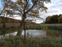 Działka rolna Pieszkowice. Zdjęcie 3