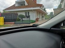 dom wolnostojący, 7 pokoi Kłobuck Zakrzew, ul. Janusza Korczaka