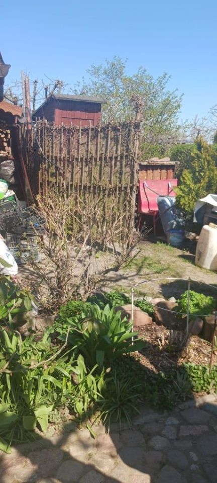 Działka rod Strzelno. Zdjęcie 2