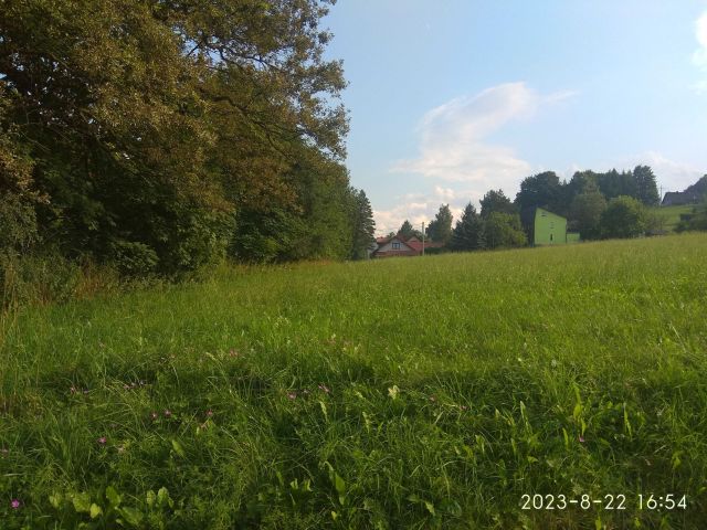 Działka budowlana Dzięgielów. Zdjęcie 1