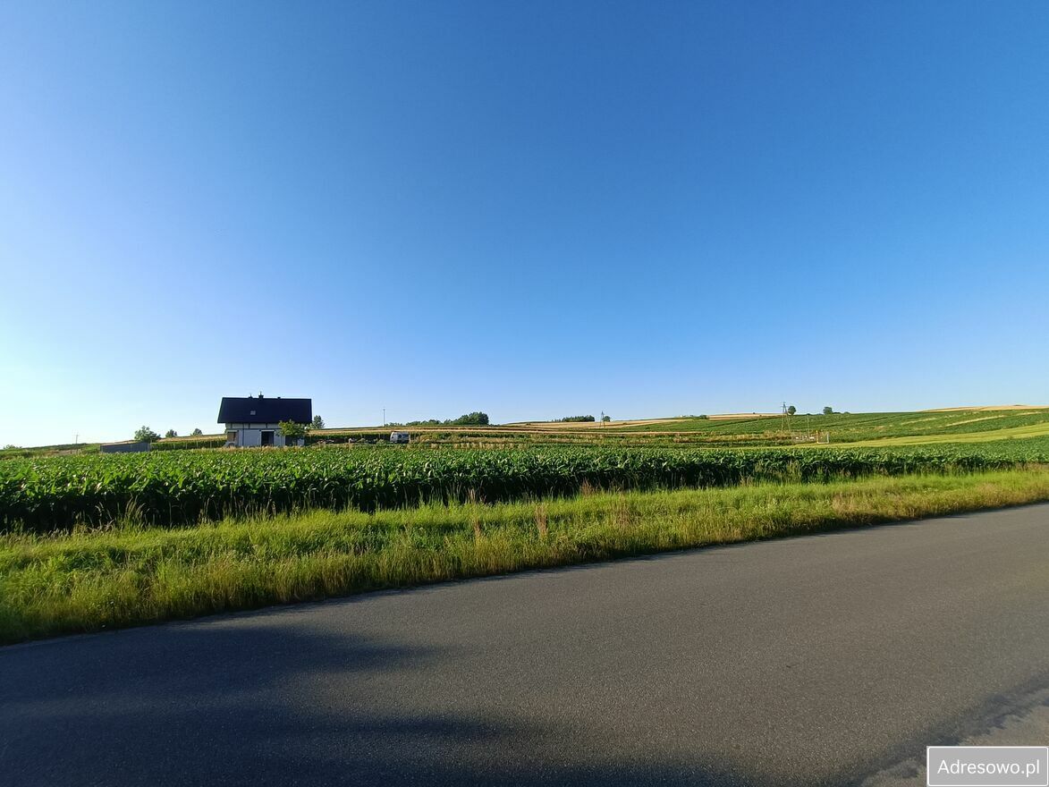 Działka budowlana Kisielów. Zdjęcie 2