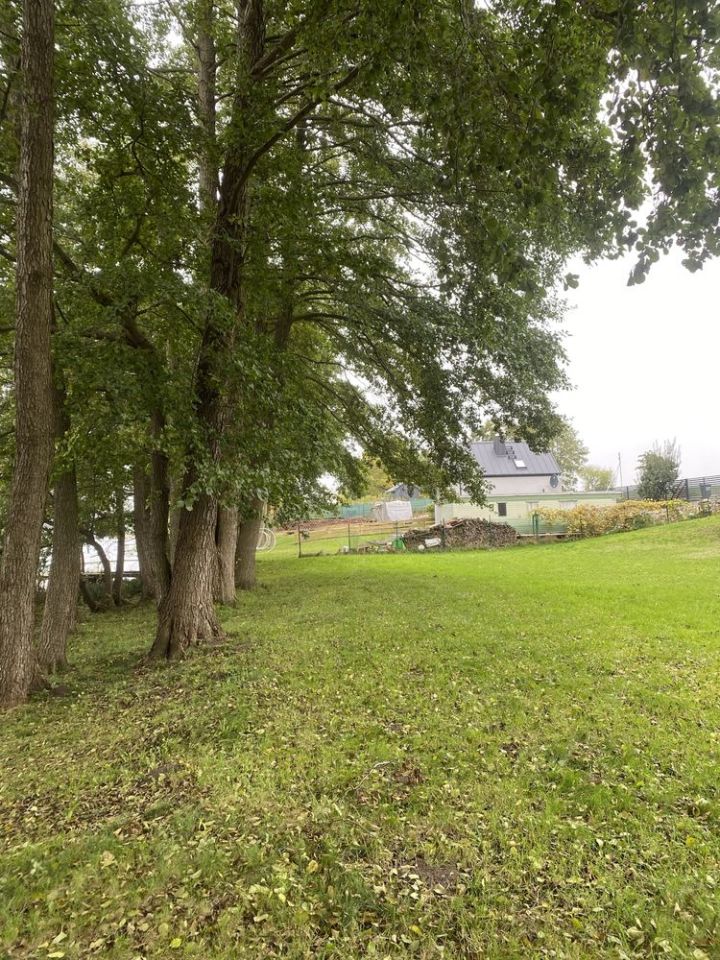 Działka rolno-budowlana Ługowo. Zdjęcie 2