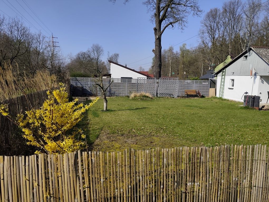 Działka rod Kędzierzyn-Koźle. Zdjęcie 2