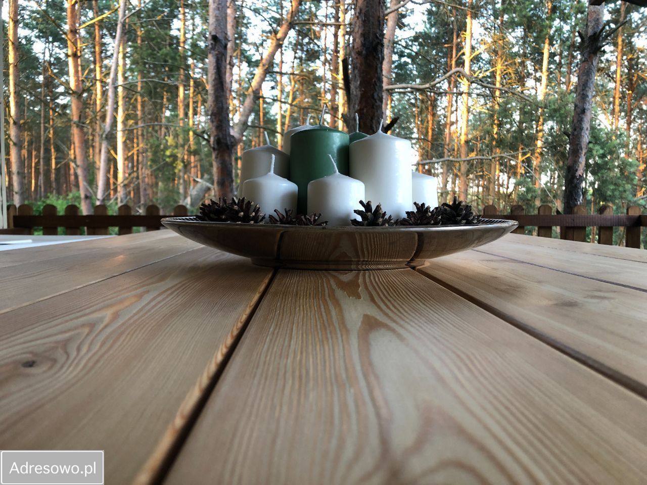 Działka leśna Anastazewo. Zdjęcie 10