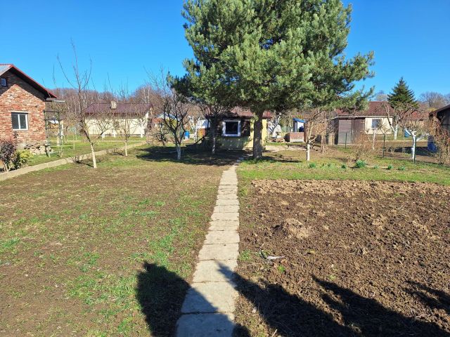 Działka rod Nysa, ul. Adama Mickiewicza. Zdjęcie 1