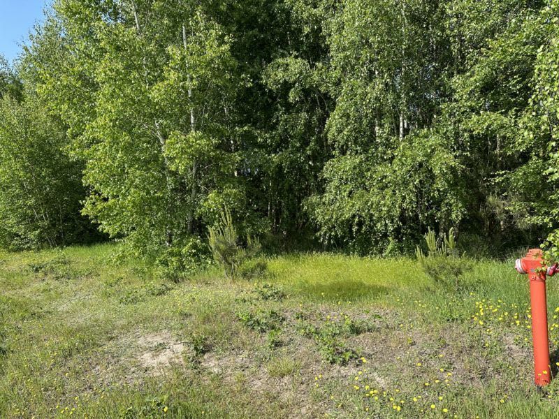 Działka rolna Konarzew. Zdjęcie 2