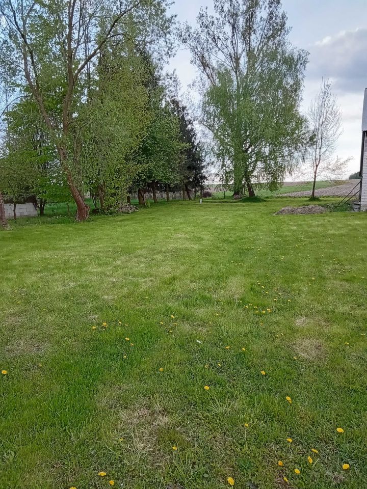 dom wolnostojący Basznia Dolna. Zdjęcie 5