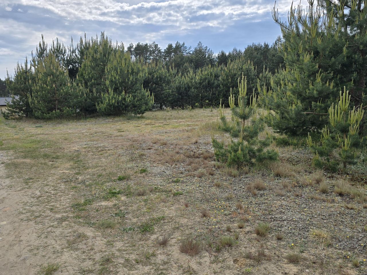 Działka budowlana Brzozowe Błota. Zdjęcie 10