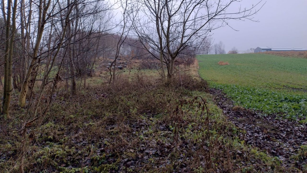 Działka budowlana Targowisko. Zdjęcie 10