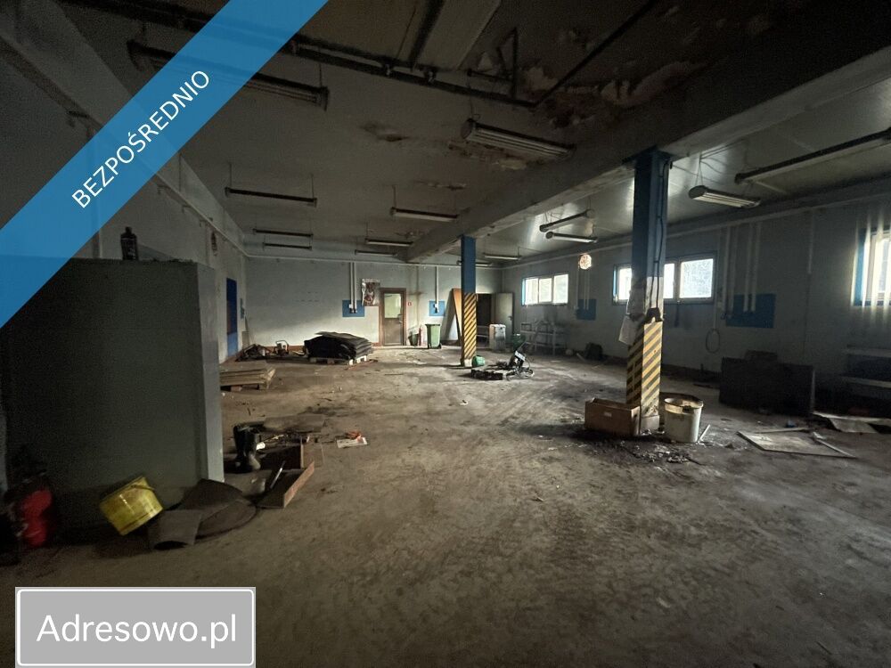 Hala/magazyn Mrozów, ul. Zamkowa. Zdjęcie 6