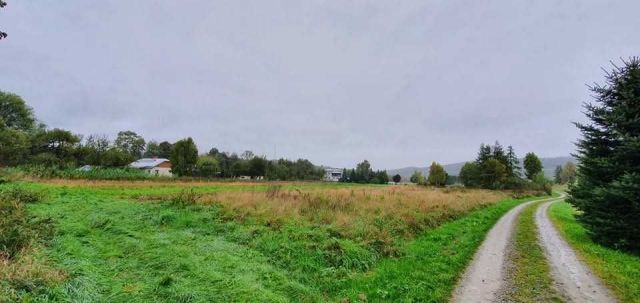 Działka rolno-budowlana Iwla. Zdjęcie 1