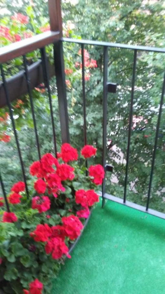 Mieszkanie 3-pokojowe Siedlce, ul. Podlaska. Zdjęcie 2