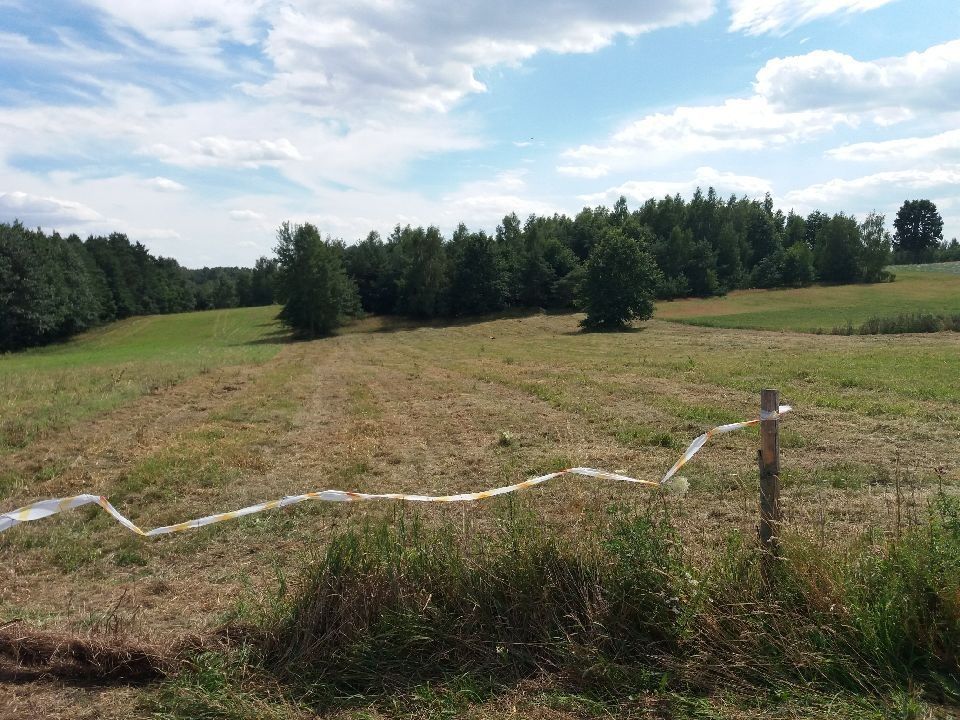 Działka rolno-budowlana Białki Górne. Zdjęcie 3