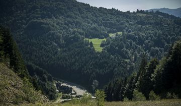 Działka inwestycyjna Szczawnica, ul. Skotnicka