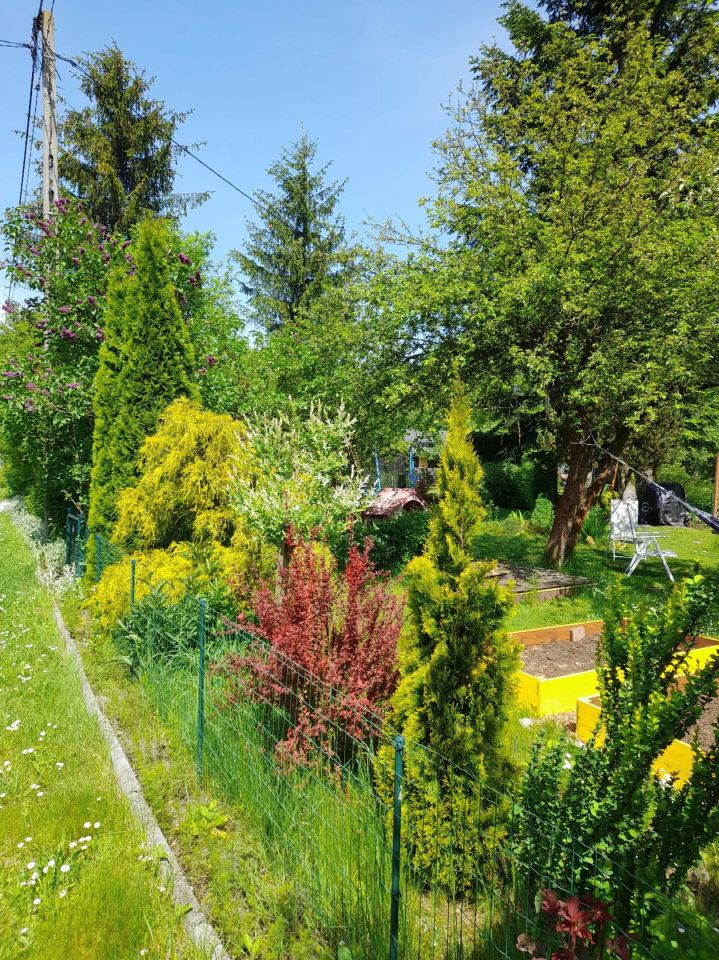 Działka rod Kraków Bronowice, ul. Mydlnicka. Zdjęcie 5