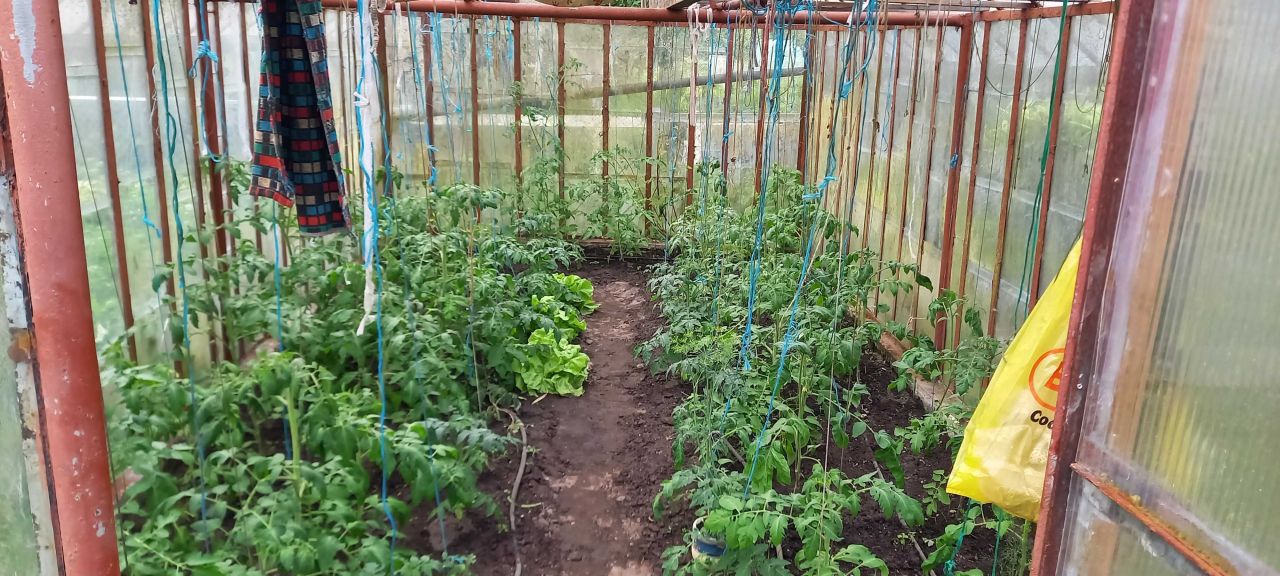 Działka rod Goleniów, ul. Polna. Zdjęcie 3