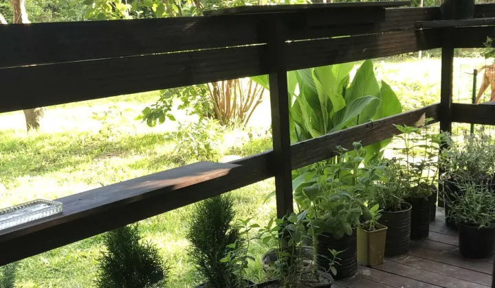 Działka rod Warszawa Mokotów, ul. Melomanów