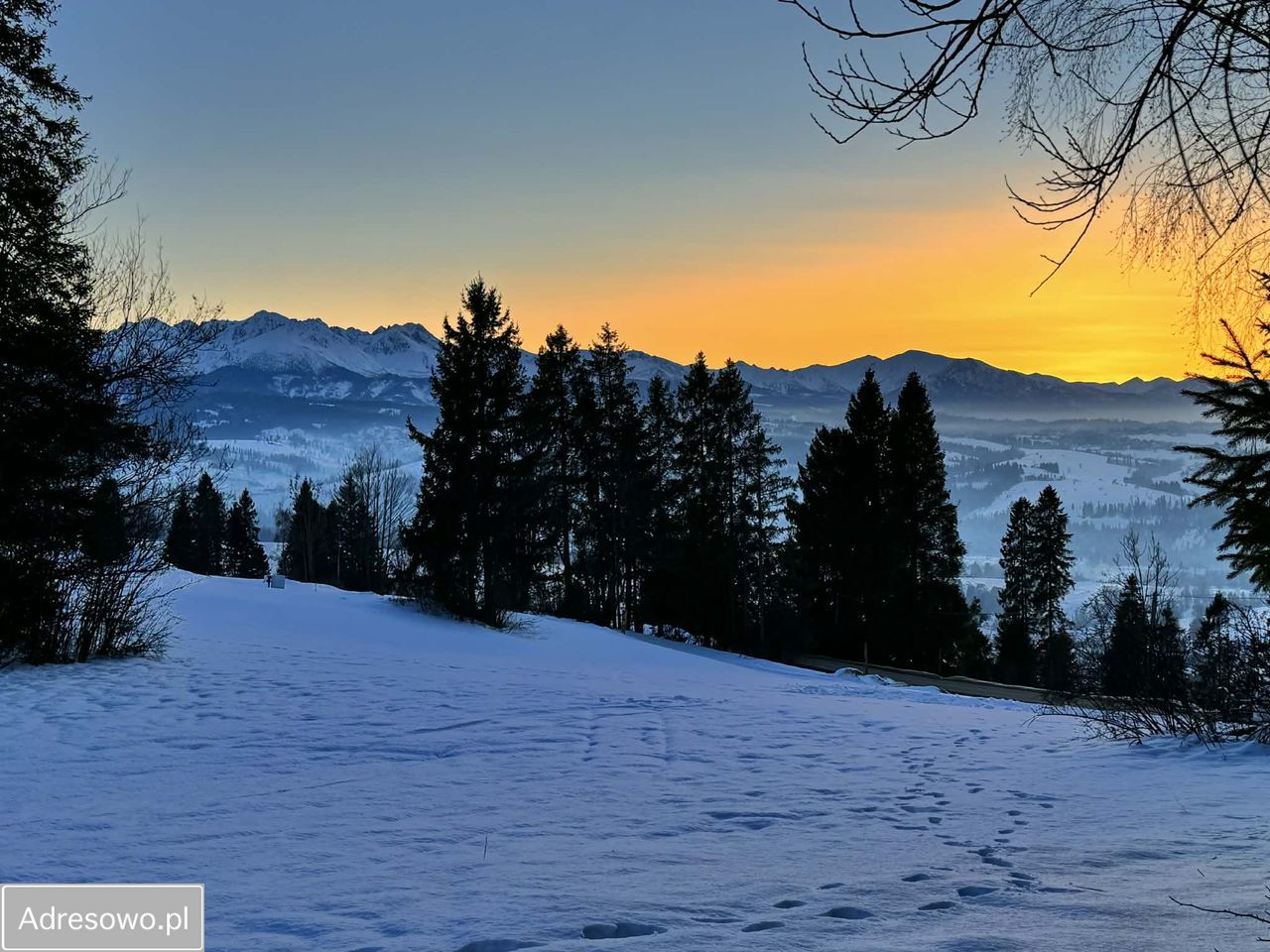 Działka budowlana Rzepiska, ul. Pawliki. Zdjęcie 7