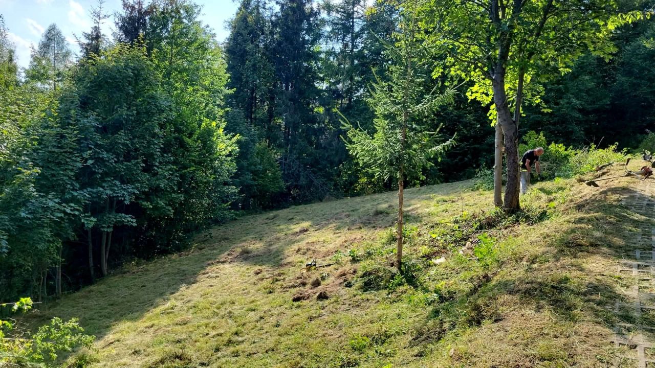 Działka rolno-budowlana Zwardoń. Zdjęcie 8