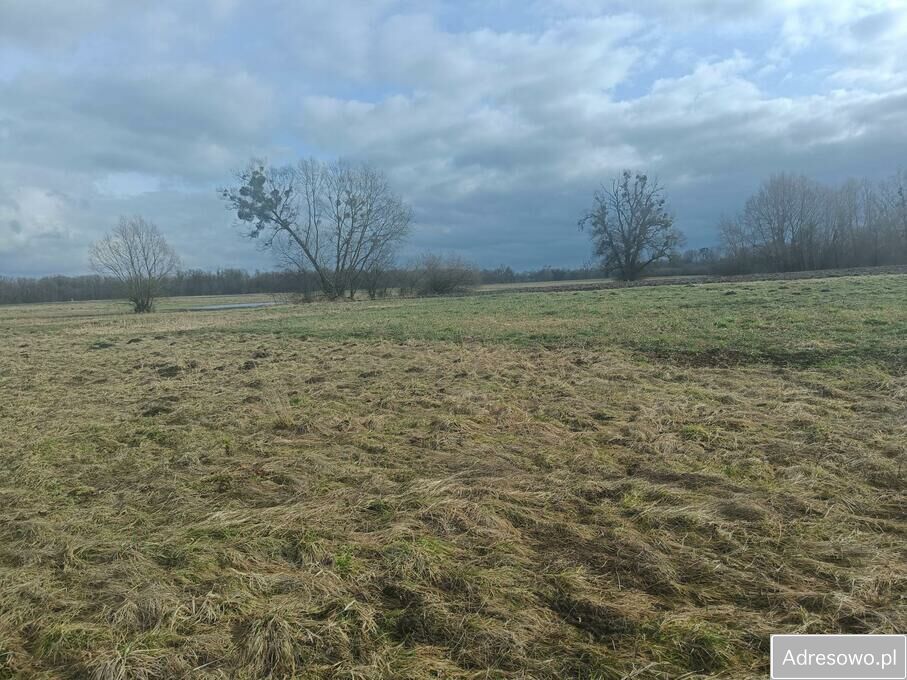 Działka rolna Stawki. Zdjęcie 4